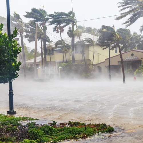 presto_hurricane_las_olas hurricane protection solutions